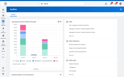 Workday auditor dashboard showing expense items without receipts, segregation of duties checks, risk indicators, and SOX audit links.