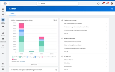 Auditoren-Dashboard mit Balkendiagramm der gr??ten Spesenposten ohne Beleg