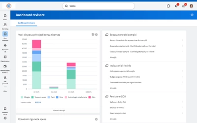 Dashboard del revisore con grafico a barre delle voci di spesa principali senza ricevuta.