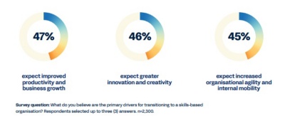Chart showing top reasons for adopting skills-based orgs: productivity, innovation, and internal mobility.