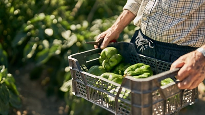 Customer Prime Time International 16x9