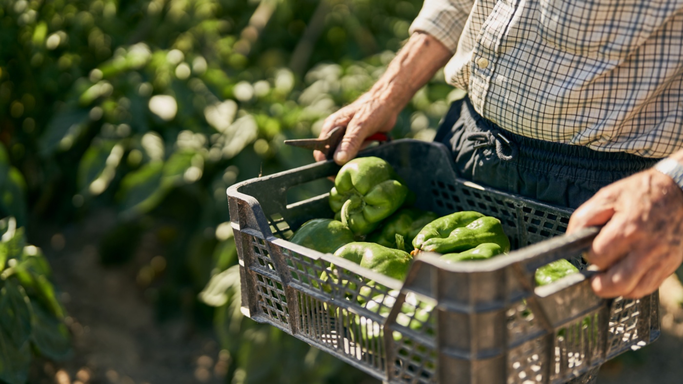 Customer Prime Time International 16x9