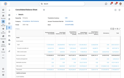 Consolidated balance sheet showing assets by entity, elimination entries, and total balances for a selected reporting period.
