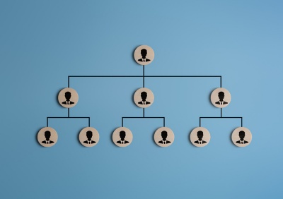 Business structure tree diagram for human resources career path and employees' hierarchy table. Organization chart, company leveling map, or organigram displayed with people icons on blue background.