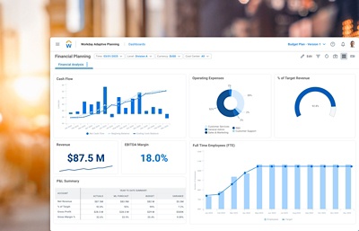 Dashboard di budget con un budget di esempio e una tabella per le spese.