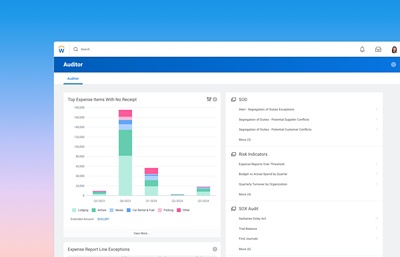 Auditoren-Dashboard mit Balkendiagramm der gr??ten Spesenposten ohne Beleg