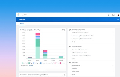 Auditoren-Dashboard mit Balkendiagramm der gr??ten Spesenposten ohne Beleg