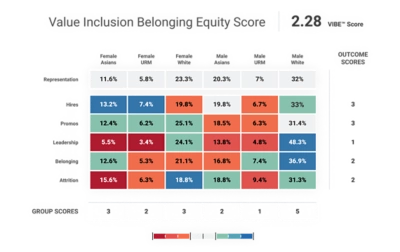 Diversity VIBE Index