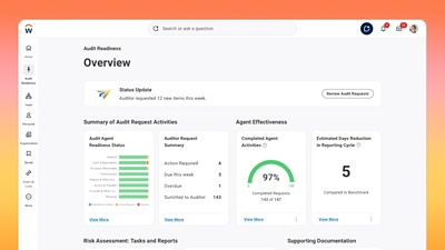 Financial Audit Agent screenshot.