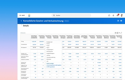 Screenshot eines Dashboards mit konsolidierter Gewinn- und Verlustrechnung als globale Basis