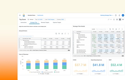 Diagramme und Grafiken zur strategischen Planung im Standard-Demo-Dashboard in 鶹ý.