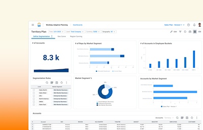 Tableau de bord des territoires de vente de ݮƵ Adaptive Planning qui vous permet de segmenter les comptes et de crer des territoires facilement, tout en veillant  ce que les territoires de vente soient quilibrs et cibls.