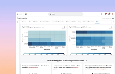 Screenshot of Skills Cloud Software in use. 
