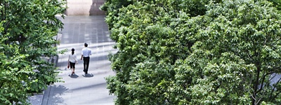 two office workers walking on sidewalk next to green trees