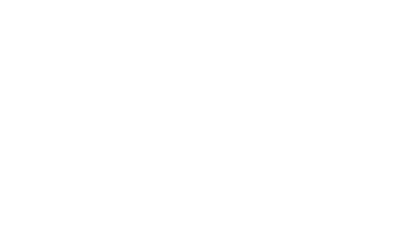 Techwolf logo