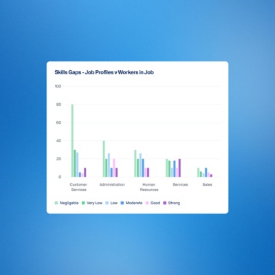 Workday Skills Dashboard summarizing workforce skills data.