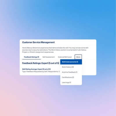 Workday Skills Verification interface for validating employee skills.