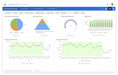 Sales dashboard showing graphs for revenue, sales by type, average sales, and revenue for FTE trend