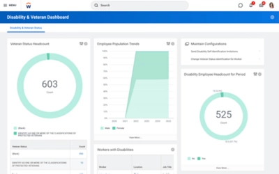 Ein Desktop-Screenshot des VIBE Central-Dashboards
