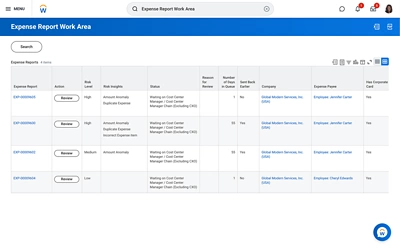 Screenshot of an expense report work area on desktop.