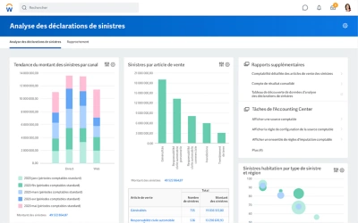 Capture d'écran de l'analyse dans l'interpréteur comptable