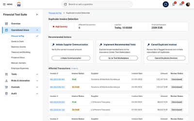 Screenshot of audit anomalies.