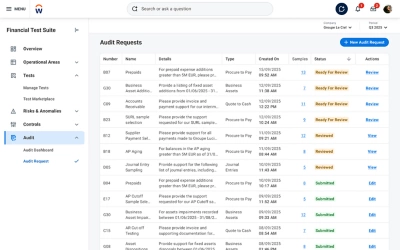 Screenshot of Financial Audit agent.