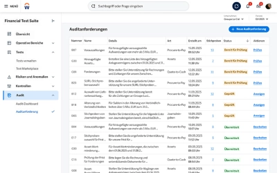 Screenshot des Financial Audit Agent