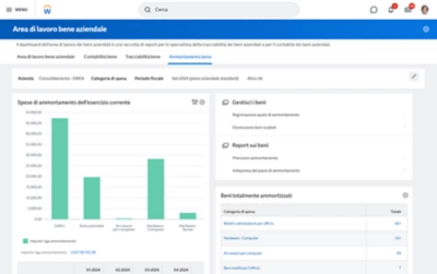 Dashboard Previsioni ammortamento con categorie di spesa e report di riporto dei beni composti
