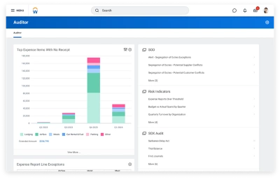 Auditor dashboard showing bar graph of top expense items with no receipt.