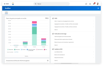 Tablero de mando de auditor que muestra grfico de barras de conceptos de gastos principales sin recibo.