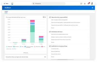 Tableau de bord du vérificateur montrant un graphique à barres des principales dépenses sans reçu.