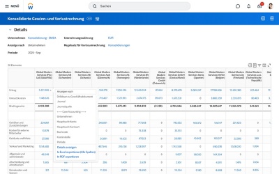 Konsolidierte Gewinn- und Verlustrechnung in der Software fr Abschluss und Konsolidierung