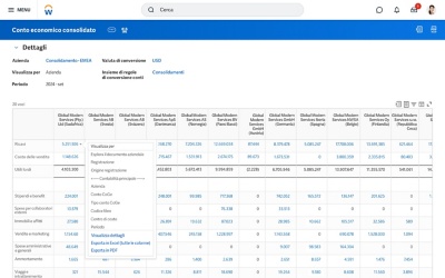 Un conto economico consolidato nel software di chiusura e consolidamento.
