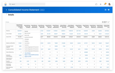 A consolidated income statement in close and consolidate software.