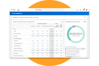 Dashboard fr Finanzergebnisse mit Gewinn- und Verlustrechnung sowie Kreisdiagramm zur Darstellung der viertelj?hrlichen Aufwandsanalyse
