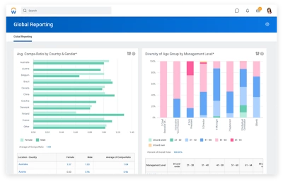 Global reporting dashboard showing bar graphs for average comp-ratio by courier and gender, and diversity age group by management level.