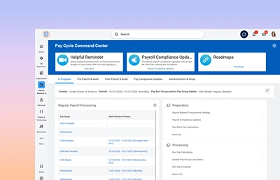 Screenshot of a pay cycle command using mini��ý��s software.