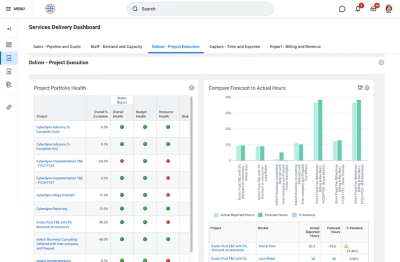 Screenshot of services delivery dashboard.