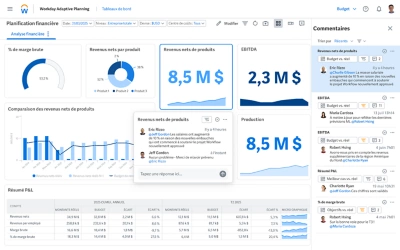 Capture d'cran du tableau de bord d'aper?u de la planification financire prsentant des tableaux de donnes et la fonctionnalit de commentaires collaboratifs.