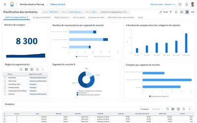 Tableau de bord de la planification des ventes dans ݮƵ Adaptive Planning montrant la segmentation de la gestion des territoires de vente. 
