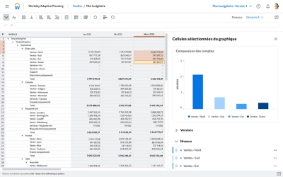Capture d'cran du tableau de bord de gestion financire de ݮƵ Adaptive Planning affichant les postes du compte de rsultat budgtaire.
