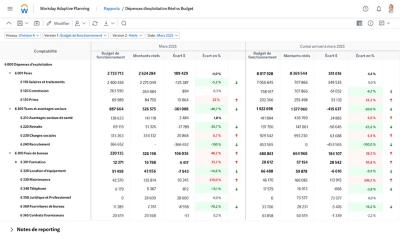 Capture d'cran du tableau de bord de ݮƵ Adaptive Planning affichant l'analyse des carts financiers.
