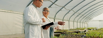 Kollegen unterhalten sich im Gewächshaus