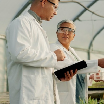 Workers chatting in greenhouse